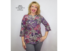 ��2042 ������