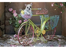 15964 ���� 500 ������� - ��������.jpg