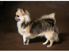 10984276 827325904000501 762147959630490607 n.jpg