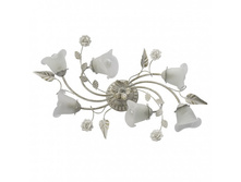 242014806 4900�.jpg