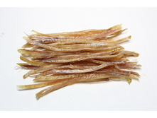 ����� ���� - ��������� �������� ! �����