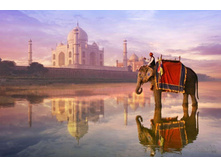 16756 ���� 1000 ������� ���� � ���� ������.jpg