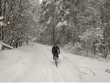 P 20160327 082458.jpg