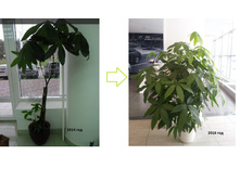 ������������� �������� ������.jpg