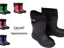 ����������� ����� ���� 2581