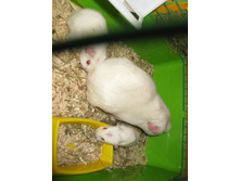 IMG 4307.JPG