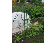 ���� �������.jpg