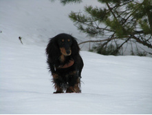 12640452 996864713713285 580049059137510084 o.jpg