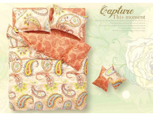 ���. CSP213-34.jpg