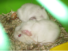 IMG 4341.JPG