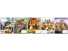 ������� 12�, 24�, 48�, 96 �  - ������ ������� � �������, �����