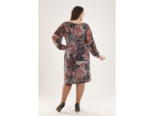 �� �������-3 + ���� ������� 7017 ���.����