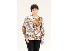 ����� 2590  250 �