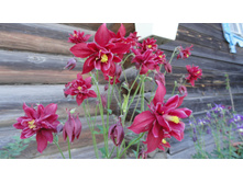 ��������� ��������