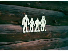 ������� VL005-WY ���� 228 ���