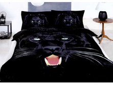 ���. CS170-4.jpg