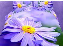 ���. TS02-629-50.jpg