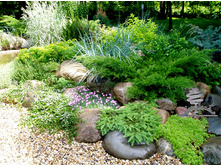 Hvojnye v landshaftnom dizajne i ozelenenii2.jpg