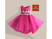 �������� ������ ZOEFLOWER