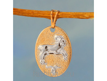 ����� ���� ������� ���� N309900110---110���.jpg