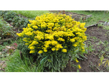 �������� ������