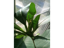 IMG 20150923 141022.jpg