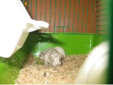 IMG 4287.JPG