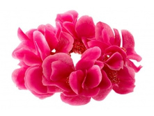 1738. �����. �������. ������ 6 ��. 24 ���.jpg