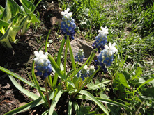 ������� ������� � �����