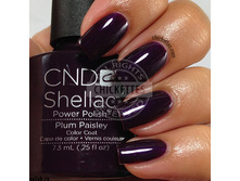 Shellac.Plum Paisley.���.����