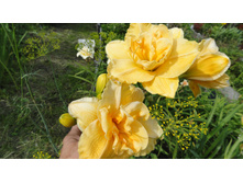 ���� ����.JPG