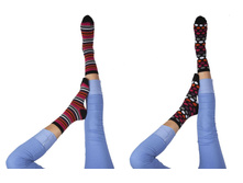 ERV4 �����.jpg