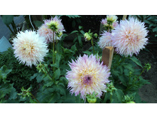 №12 ��������� ��������..jpg