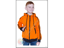 ��������� �������, ������.png