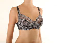 ����������� 62886E. --- 523 ���.