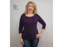 �2079 ��������