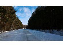 P 20160327 134454.jpg