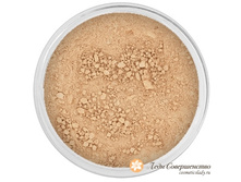 ����������� �����-������ Sunkissed Foundation SMM_60-190.jpg