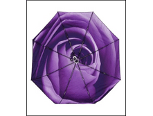 Image404.png
