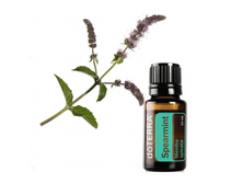 ���� ���������� Spearmint Essential oil.png