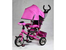 IMG 1813-600x600.JPG