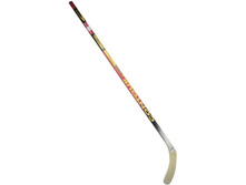 ������ ���������