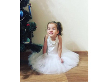 ���. ����