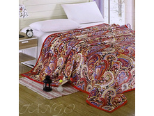 ���� ����������