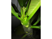 IMG 20150908 235900.jpg