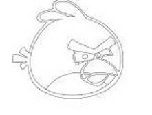 �5 ����� ���� 1.jpg