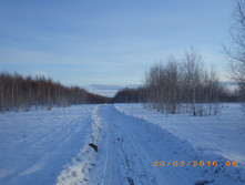 04.JPG