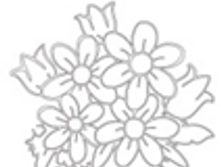 Image273.png