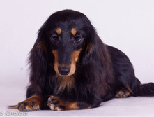 701925 1010118409054582 801176952000755236 o.jpg