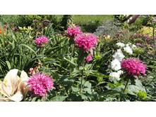 ������� ������� ���� ����